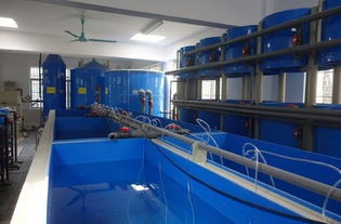 廣東省海洋工程職業(yè)技術(shù)學校養(yǎng)殖科實訓設(shè)施風采展示